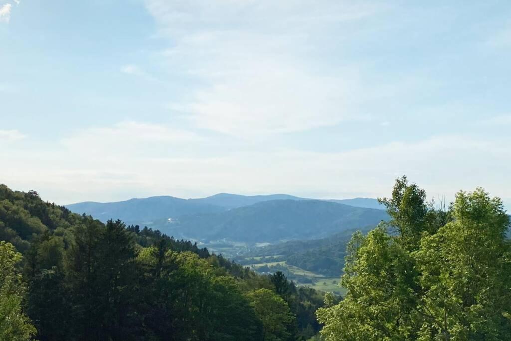 Mitten Im Bayerischen Wald + Schonblick + Urig + Netflix Schöfweg Eksteriør bilde